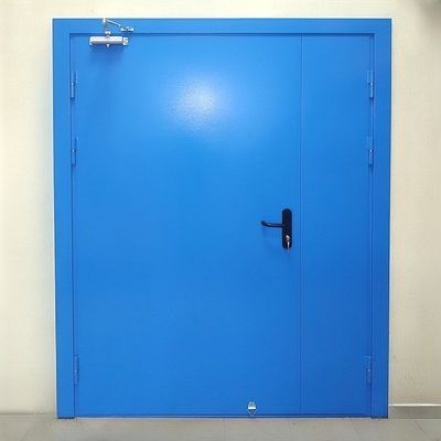 Синяя глухая дверь ei-60 Синяя глухая дверь ei-60